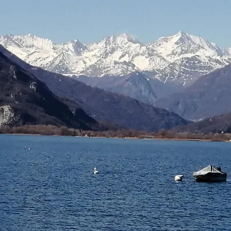Edera Verbania